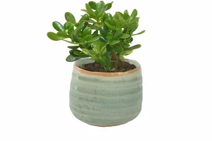 Bloempot Iris - D8/H7cm Groen - afbeelding 2