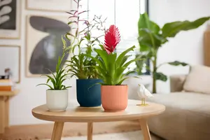 Bloempot Vibes Fold Rond - D18/H17cm Blauw - afbeelding 8