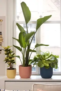 Bloempot Vibes Fold Rond - D16/H15cm Roze - afbeelding 9