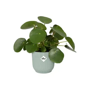 Bloempot Vibes Fold Rond - D16/H15cm Groen - afbeelding 8