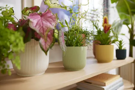 Bloempot Vibes Fold Rond - D16/H15cm Groen - afbeelding 6