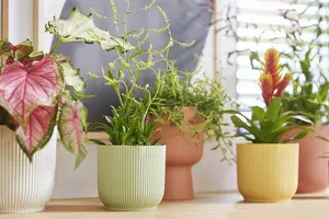 Bloempot Vibes Fold Rond - D16/H15cm Groen - afbeelding 5