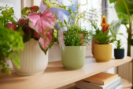 Bloempot Vibes Fold Rond - D16/H15cm Wit - afbeelding 9