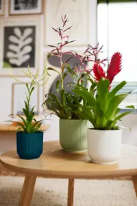 Bloempot Vibes Fold Rond - D16/H15cm Wit - afbeelding 8