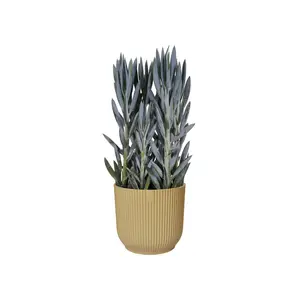 Bloempot Vibes Fold Rond - D18/H17cm Geel - afbeelding 6