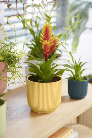 Bloempot Vibes Fold Rond - D18/H17cm Geel - afbeelding 8