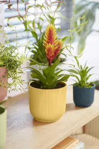 Bloempot Vibes Fold Rond - D18/H17cm Geel - afbeelding 8