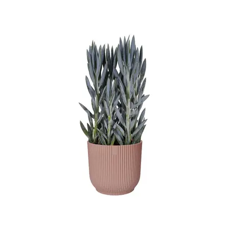 Bloempot Vibes Fold Rond - D18/H17cm Roze - afbeelding 6