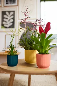 Bloempot Vibes Fold Rond - D18/H17cm Roze - afbeelding 8