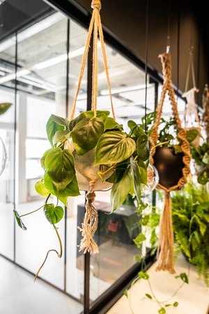 Bloempothanger Macramé - L 110 - afbeelding 4