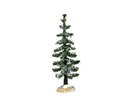 BLUE SPRUCE TREE, SMALL