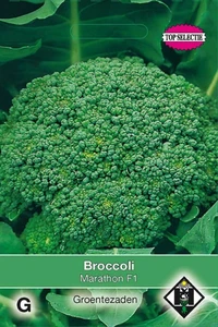 Broccoli 'Marathon' F1 - afbeelding 1