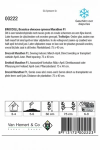 Broccoli 'Marathon' F1 - afbeelding 2