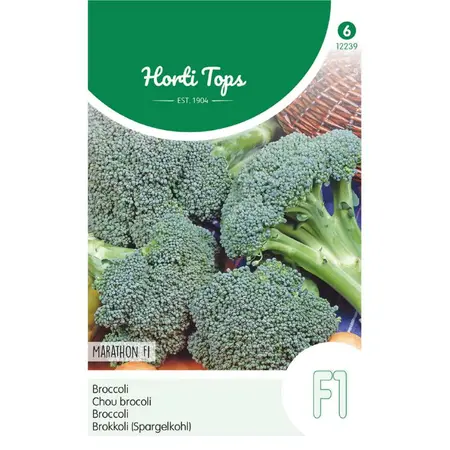 Broccoli 'Marathon F1' - afbeelding 1