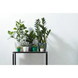 BRUSSELS RO 14CM WIT - afbeelding 4