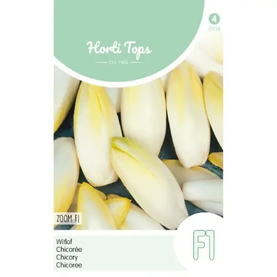 Brussels Witlof 'Zoom F1' - afbeelding 1