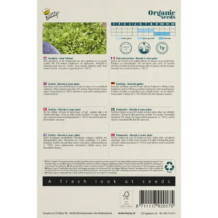 Buzzy® Andijvie 'Gele Volhart - Bio - afbeelding 2