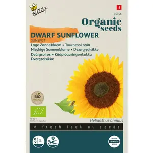 BUZZY® ORGANIC HELIANTHUS, LAGE ZONNEBLOEM SUNSPOT (BIO) - afbeelding 1