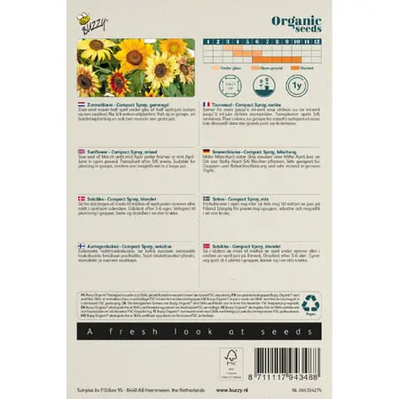 BUZZY® ORGANIC HELIANTHUS, ZONNEBLOEM COMPACT SPRAY(BIO) - afbeelding 2