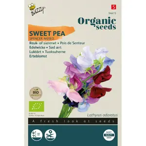 BUZZY® ORGANIC LATHYRUS, REUK- OF SIERERWT SPENCER (BIO) - afbeelding 2