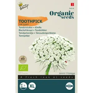BUZZY® ORGANIC TANDENSTOKER AMMI VISNAGIA THE GIANT BIO - afbeelding 1