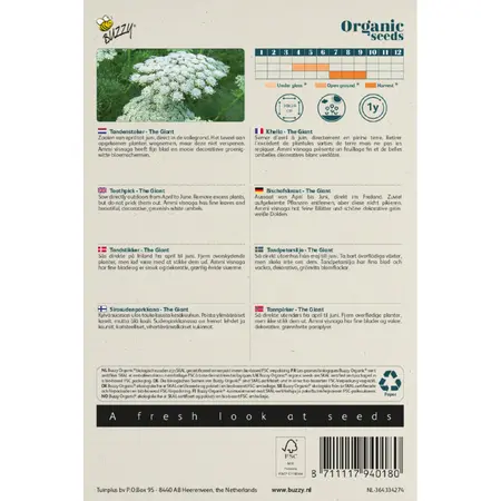 BUZZY® ORGANIC TANDENSTOKER AMMI VISNAGIA THE GIANT BIO - afbeelding 2