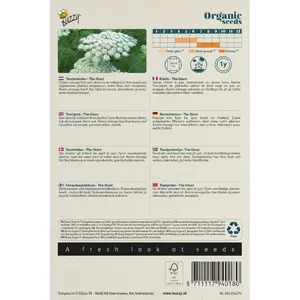 BUZZY® ORGANIC TANDENSTOKER AMMI VISNAGIA THE GIANT BIO - afbeelding 2