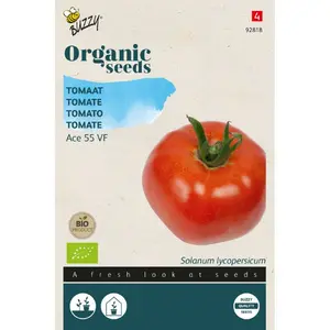 BUZZY® ORGANIC TOMATEN ACE 55 VF (BIO) - afbeelding 2