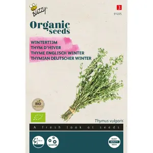 BUZZY® ORGANIC WINTER TIJM (BIO) - afbeelding 2