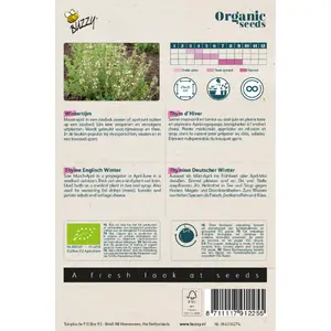 BUZZY® ORGANIC WINTER TIJM (BIO) - afbeelding 2