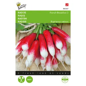 BUZZY® RADIJS FRENCH BREAKFAST 3 - afbeelding 2