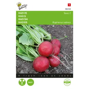 BUZZY® RADIJS SAXA 2 - afbeelding 2