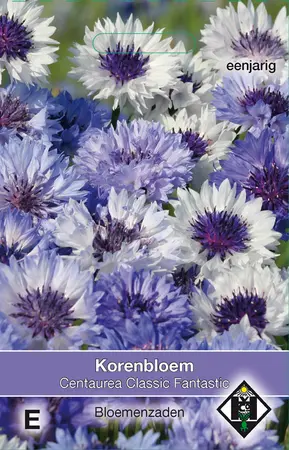 CENTAUREA CYANUAS CLASSIC FANTASTIC - afbeelding 2