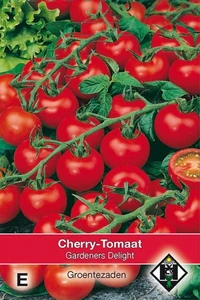 Cherry-Tomaat 'Gardeners Delight'