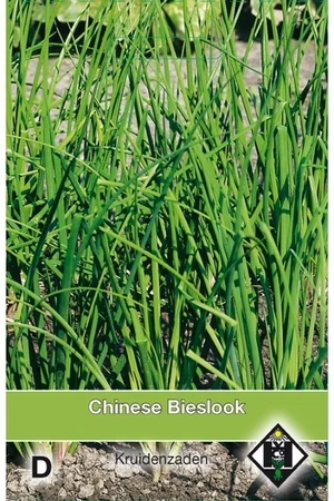 Chinese Knoflook Bieslook