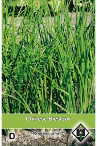 Chinese Knoflook Bieslook