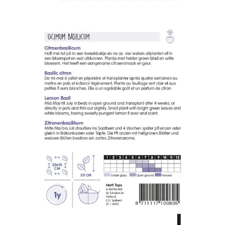 Citroenbasilicum - afbeelding 2