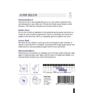 Citroenbasilicum - afbeelding 2
