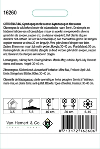 Citroengras - afbeelding 2