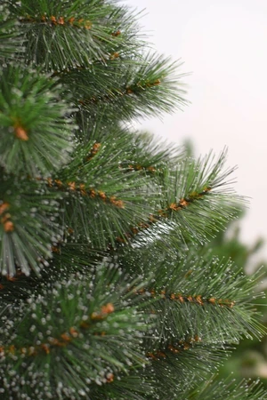 CLEVELAND FROSTED PINE 150CM - afbeelding 2