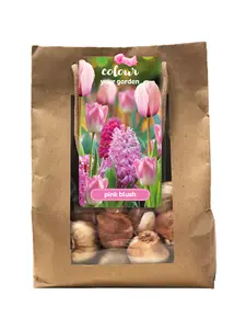 Colour Your Garden 'Pink Blush'