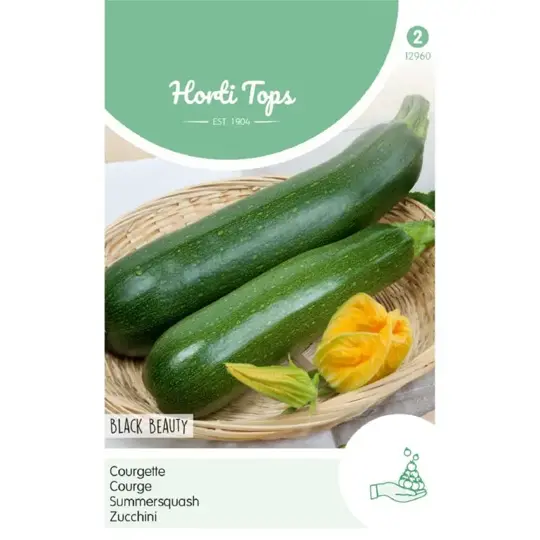 Courgette 'Black Beauty' - afbeelding 1