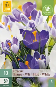 Krokus Blauw - Wit Mix - afbeelding 3