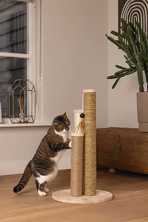 Designed by Lotte - Krabpaal Willa - afbeelding 7
