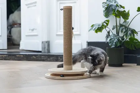 Designed by Lotte - Krabpaal Zavi - afbeelding 8