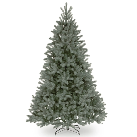 DOUGLAS BLUE HINGED H243CM - afbeelding 3