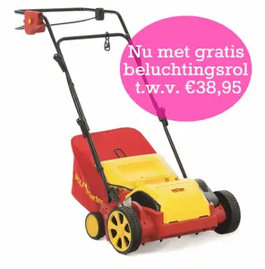 ELEKTRO VERTICUTEERMACHINE VS 302 E - afbeelding 4