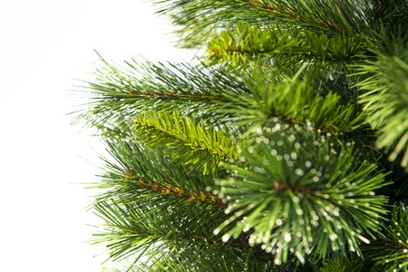 Ermineton Pine H 210cm - afbeelding 2