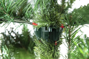 Ermineton Pine - H180cm - afbeelding 3