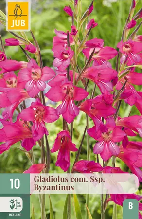 Gadiool 'Com SSP. Byzantinus'
